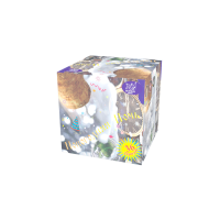 Новогодняя ночь Салют купить в Екатеринбурге | ekb.salutsklad.ru