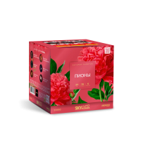 Пионы Салют купить в Екатеринбурге | ekb.salutsklad.ru