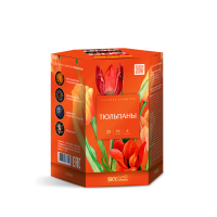 Тюльпаны Салют купить в Екатеринбурге | ekb.salutsklad.ru