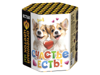 Счастье есть! Салют купить в Екатеринбурге | ekb.salutsklad.ru