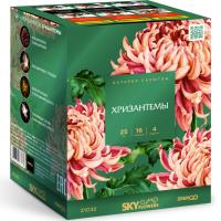 Хризантемы Фейерверк купить в Екатеринбурге | ekb.salutsklad.ru