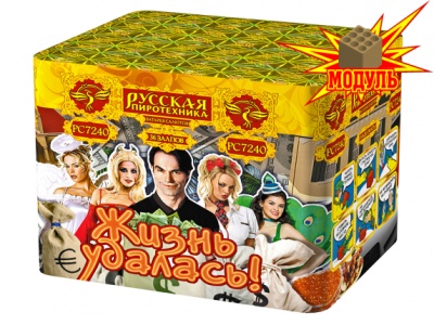 Жизнь удалась Фейерверк купить в Екатеринбурге | ekb.salutsklad.ru