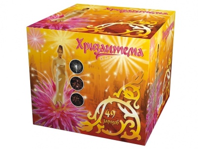 Хризантема Салют купить в Екатеринбурге | ekb.salutsklad.ru