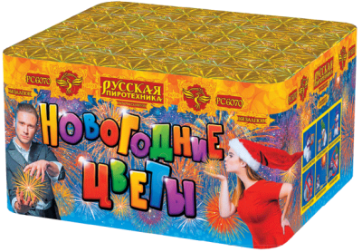 Новогодние цветы Фейерверк купить в Екатеринбурге | ekb.salutsklad.ru