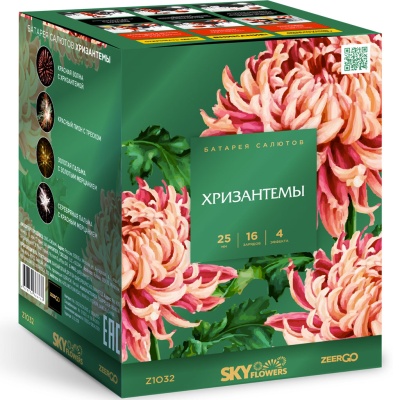 Хризантемы Фейерверк купить в Екатеринбурге | ekb.salutsklad.ru
