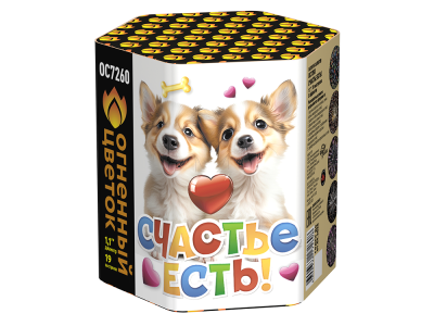 Счастье есть! Салют купить в Екатеринбурге | ekb.salutsklad.ru